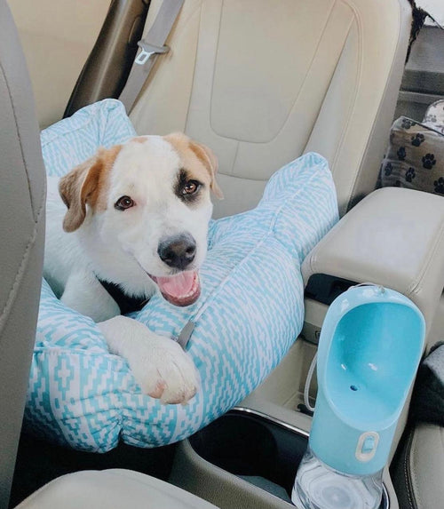 Comedero Portátil 2 en 1 Gris Claro para Mascotas